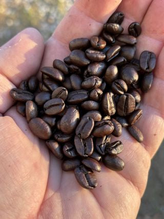 Coffee's Ancient Origins Part 2 of 3